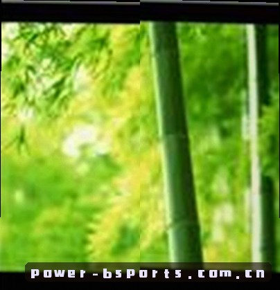 孙悦